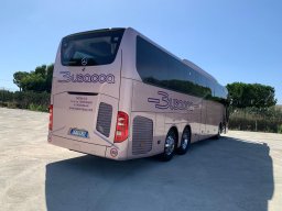 busaccabus 11